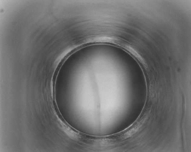 X0000062140988200512161213