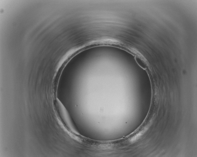 X0000062140989200512161213