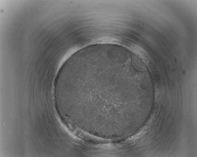 X0000062140990200512161213