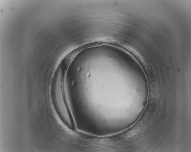 X0000062140991200512161213