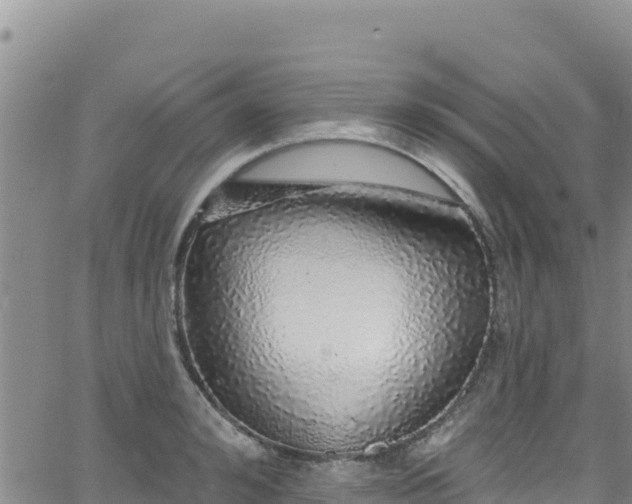 X0000062140992200512161213