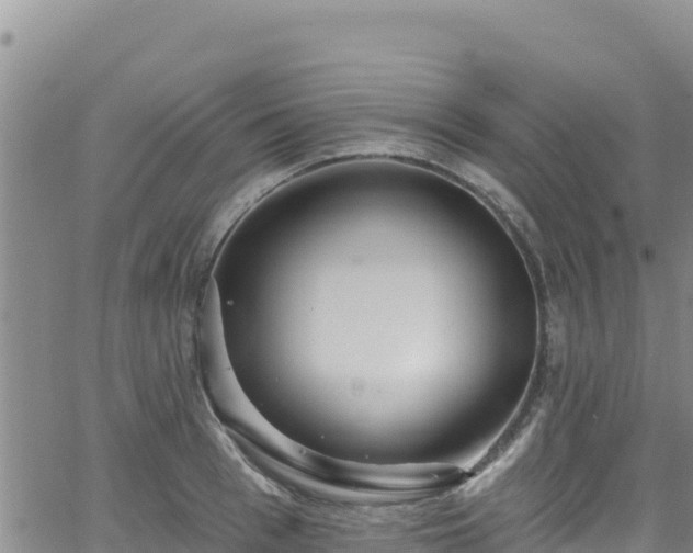 X0000062140993200512161213