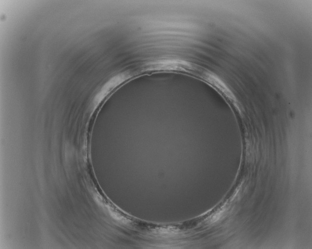 X0000062140994200512161213