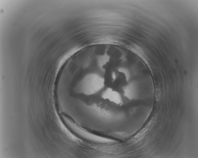 X0000062140995200512161213