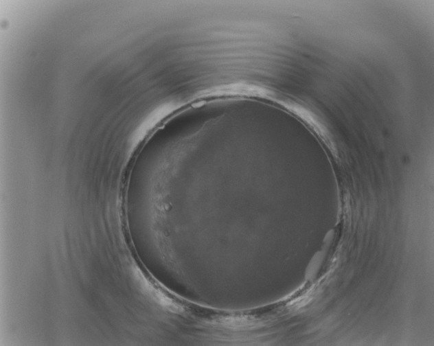 X0000062140998200512161213