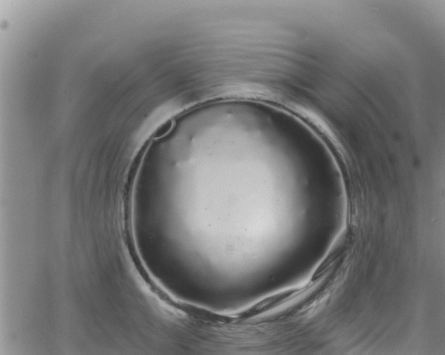 X0000062140999200512161213