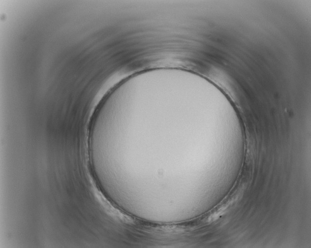 X0000062141000200512161213