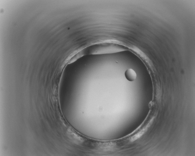 X0000062141001200512161213