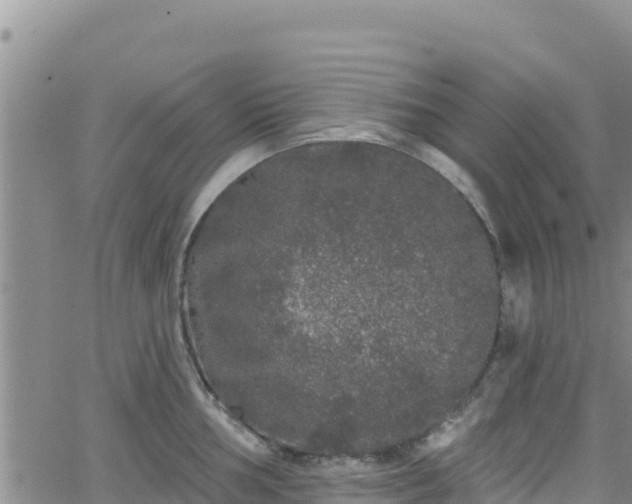 X0000062141002200512161213