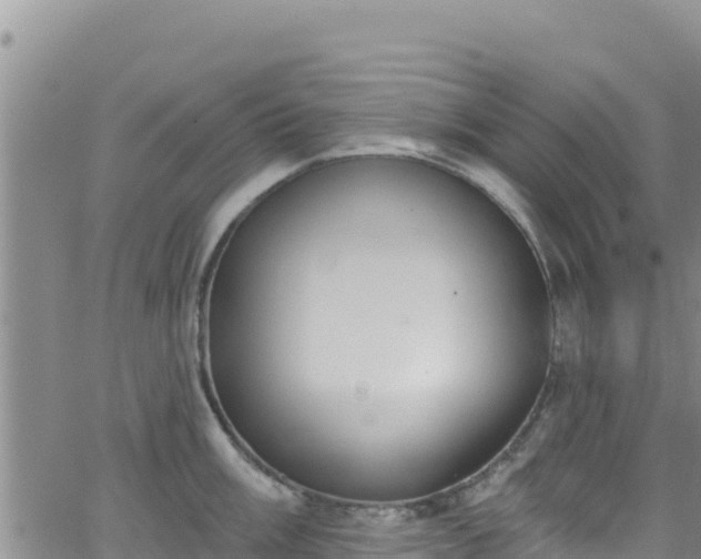 X0000062141003200512161213