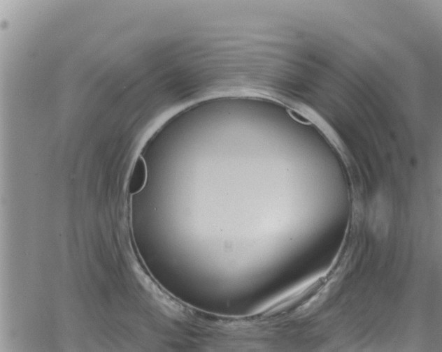 X0000062141004200512161213