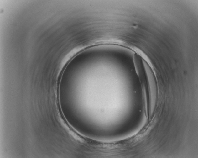 X0000062141005200512161213