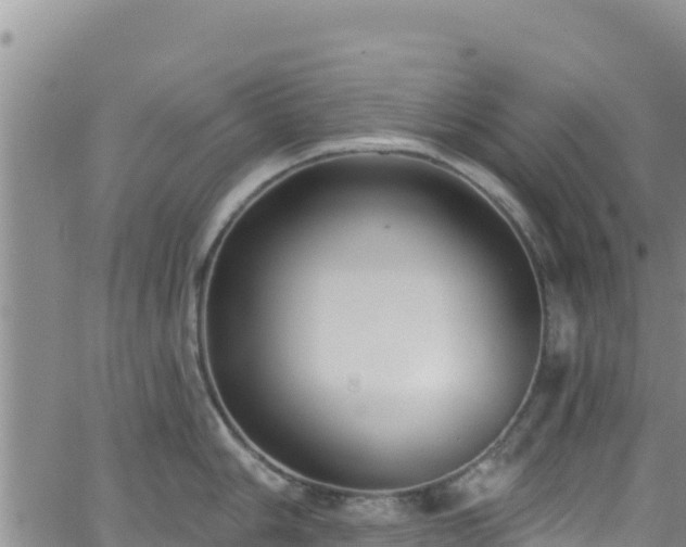 X0000062141006200512161213