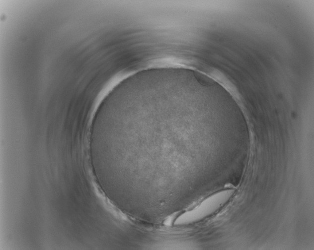 X0000062141008200512161213