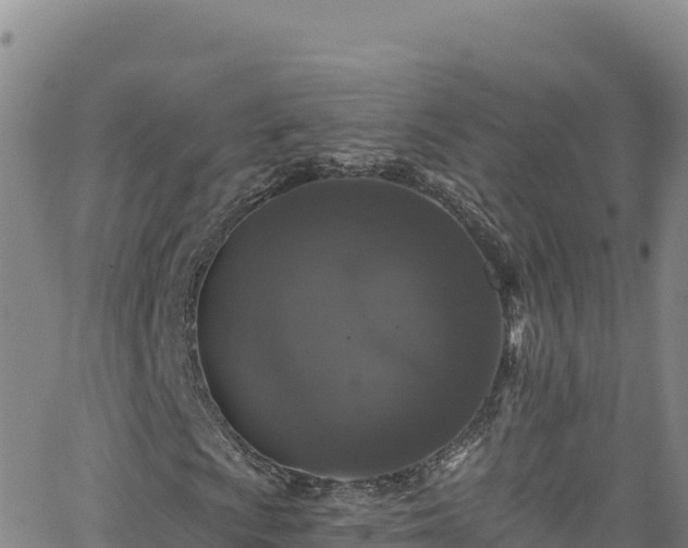 X0000062141009200512161212