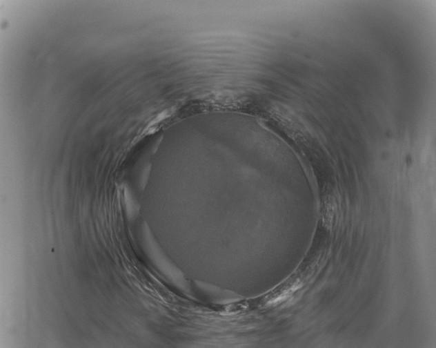 X0000062141010200512161212