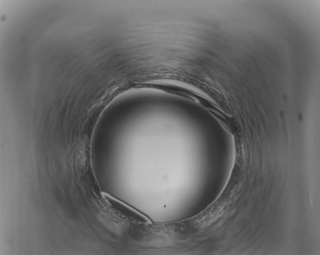 X0000062141012200512161212