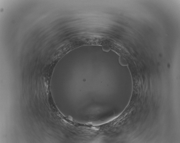 X0000062141013200512161212