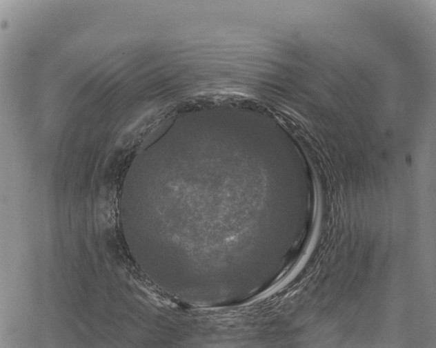 X0000062141014200512161212