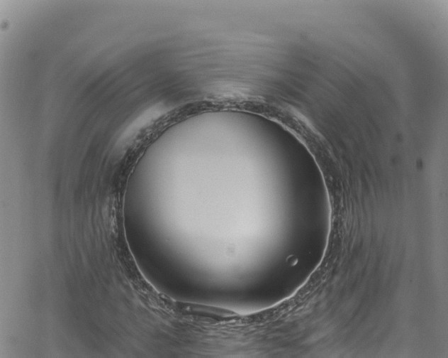 X0000062141016200512161212