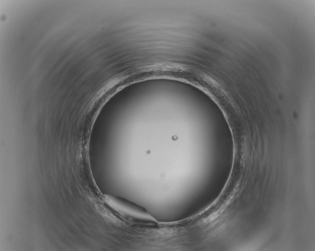 X0000062141017200512161212