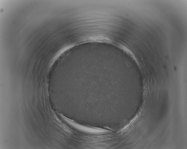 X0000062141019200512161212