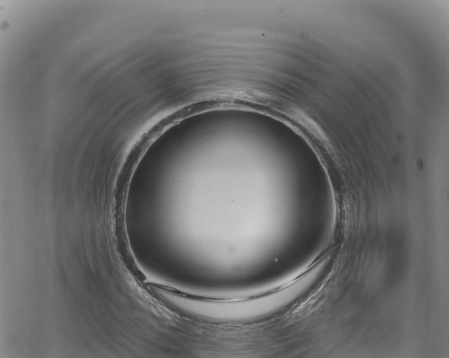 X0000062141020200512161212