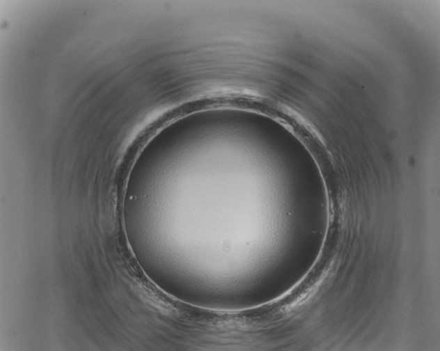 X0000062141021200512161212