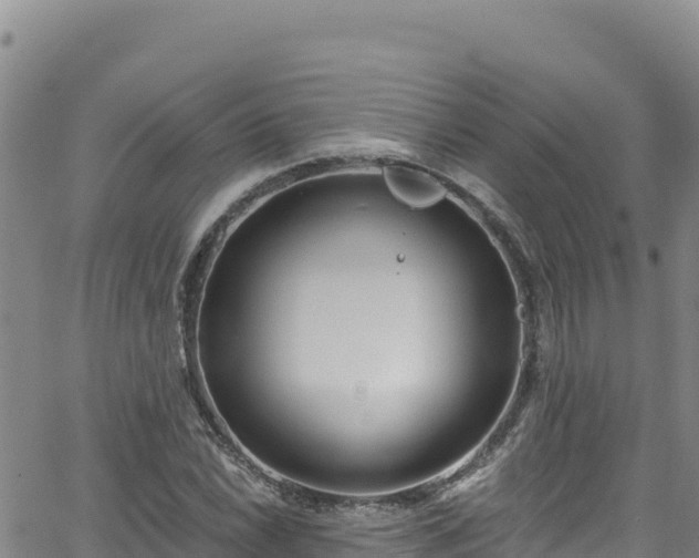 X0000062141022200512161212