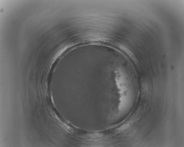 X0000062141023200512161212