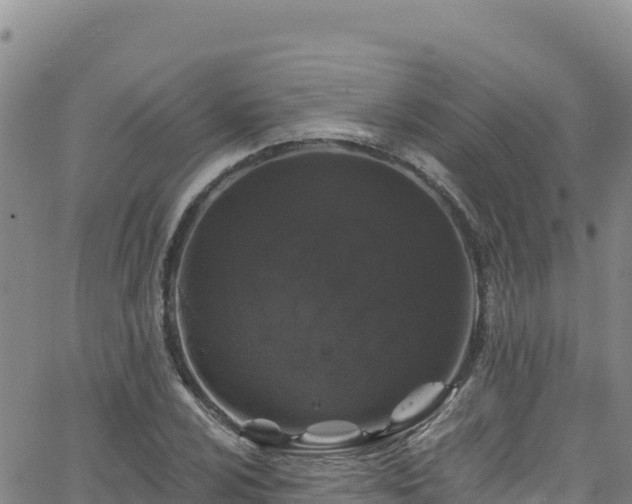 X0000062141024200512161212