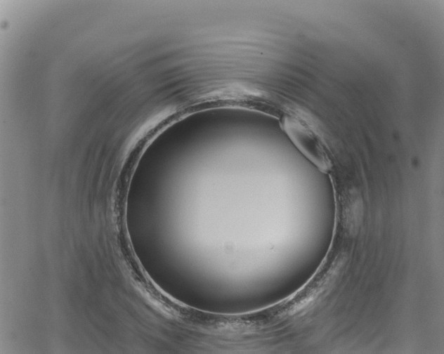 X0000062141026200512161212