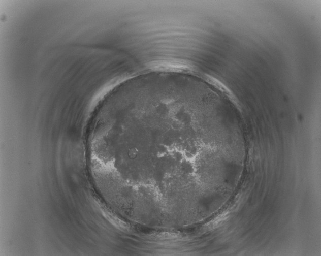 X0000062141027200512161212