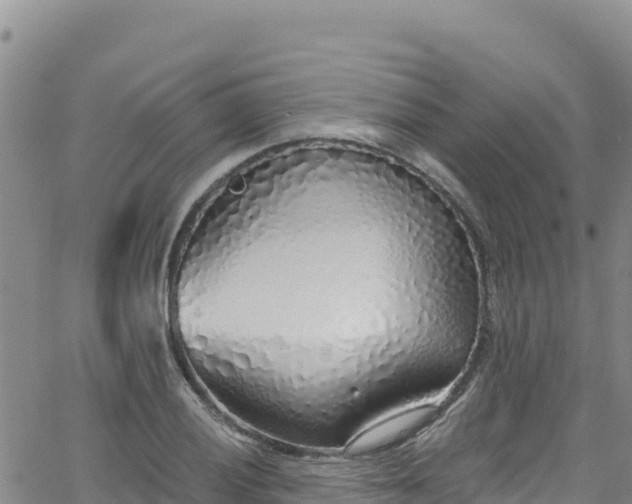 X0000062141028200512161212