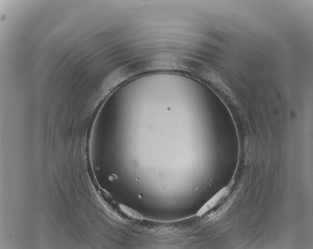 X0000062141033200512161212