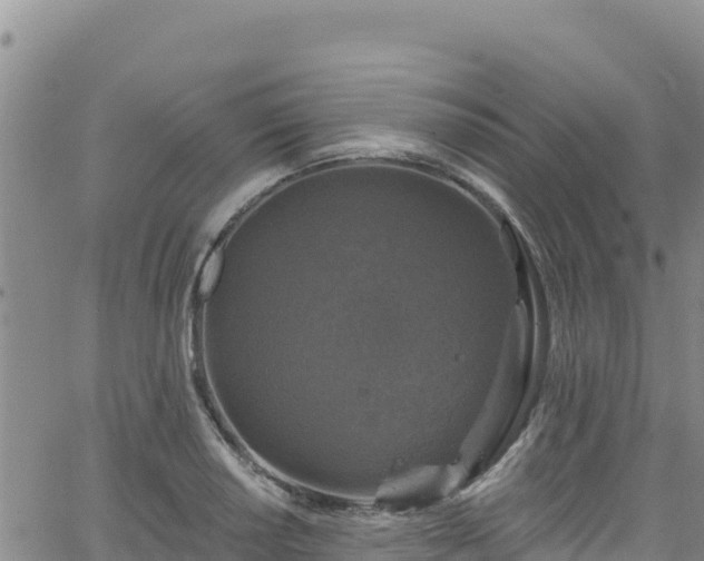 X0000062141034200512161212