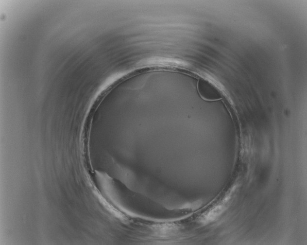 X0000062141037200512161212