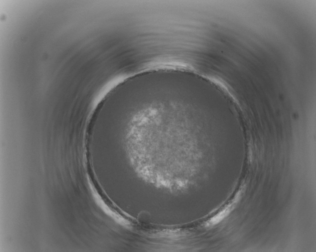 X0000062141038200512161212