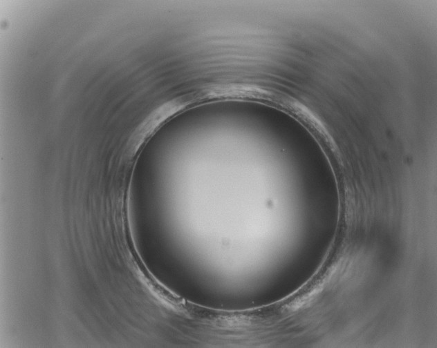 X0000062141041200512161212