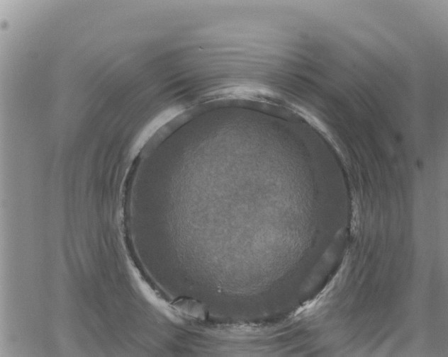 X0000062141042200512161212