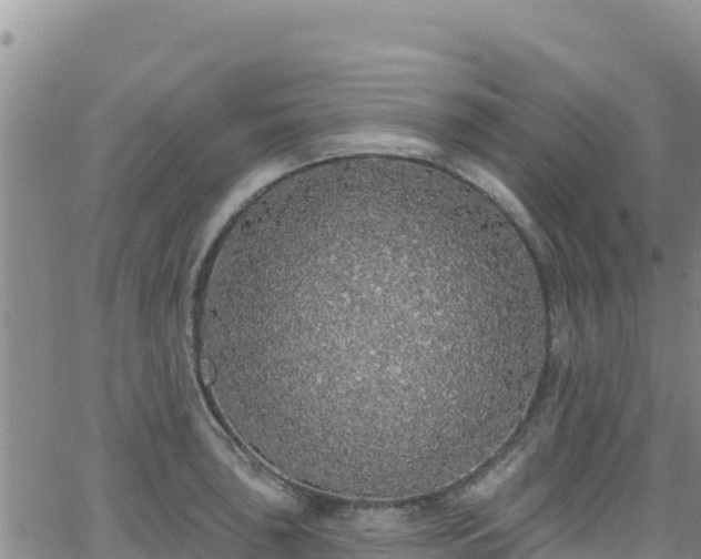 X0000062141043200512161212