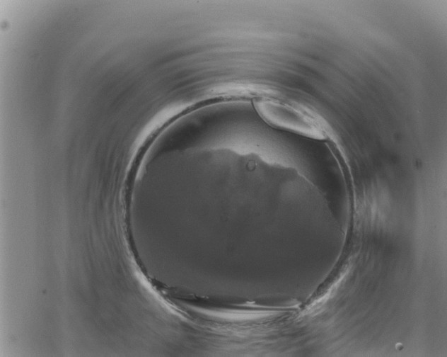 X0000062141045200512161212