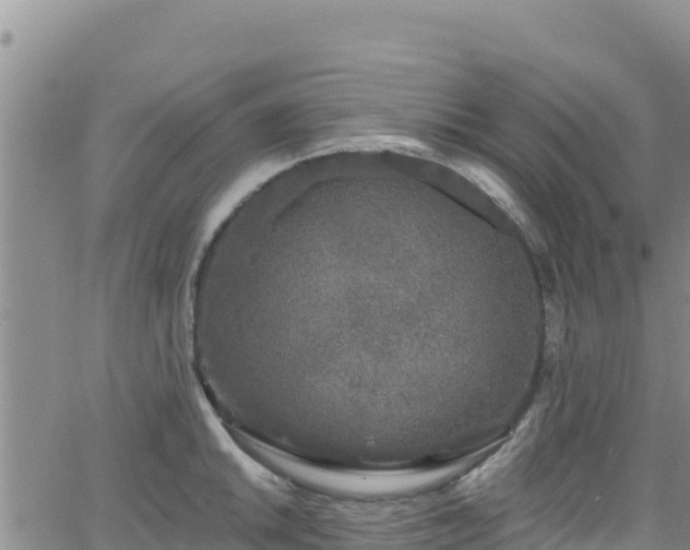 X0000062141046200512161212