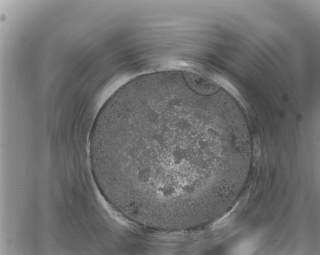 X0000062141047200512161212