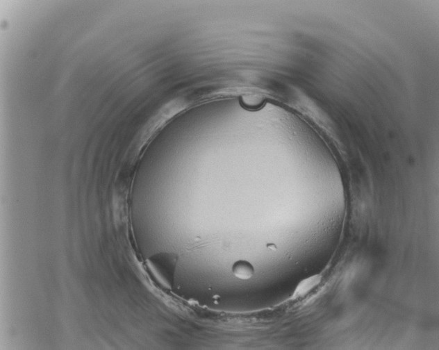 X0000062141049200512161213