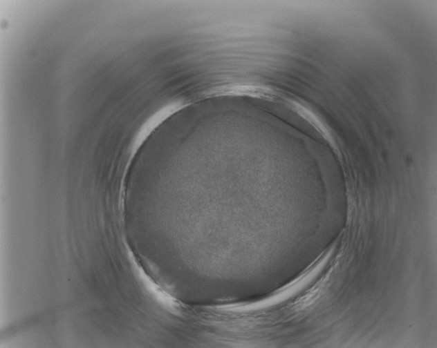 X0000062141050200512161213