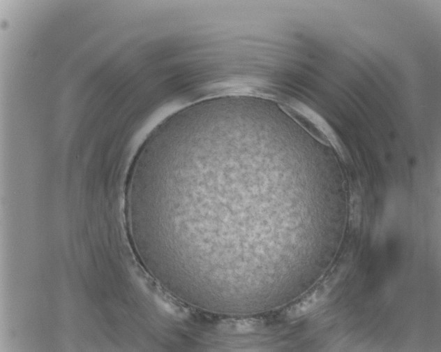 X0000062141051200512161213