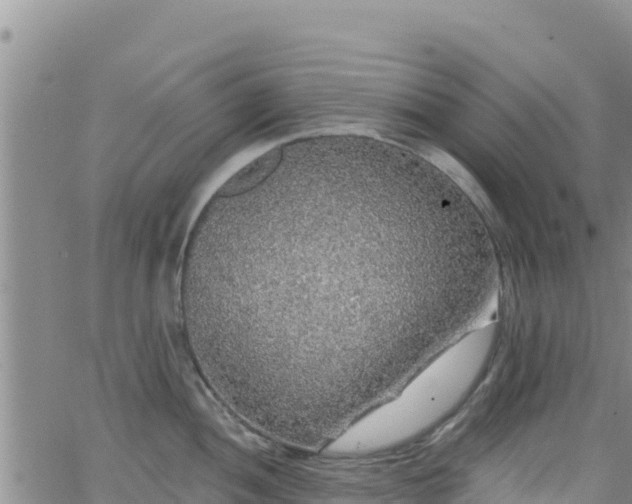 X0000062141052200512161213