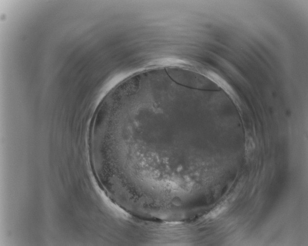 X0000062141055200512161213