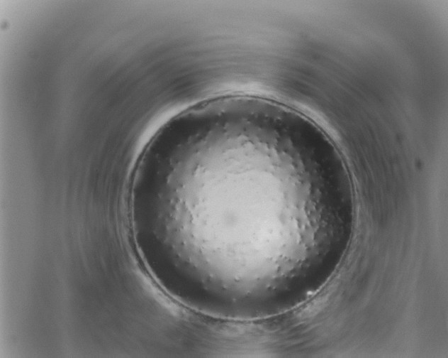 X0000062141056200512161213